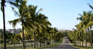 Forma parte de los Cursos de Verano en el Parque Culiacán 2024