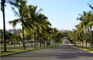 Forma parte de los Cursos de Verano en el Parque Culiacán 2024