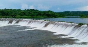 La crisis hídrica que afecta a Sinaloa ha dejado daños económicos y ambientales