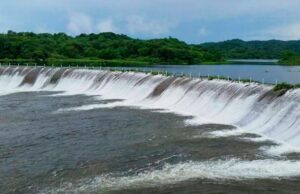 La crisis hídrica que afecta a Sinaloa ha dejado daños económicos y ambientales