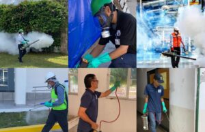 La importancia del control de plagas