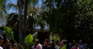 Invita Jardín Botánico Culiacán a adoptar árboles regionales este próximo 9 de julio