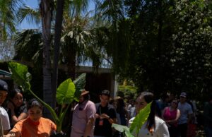 Invita Jardín Botánico Culiacán a adoptar árboles regionales este próximo 9 de julio