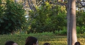 Disfruta el verano en Jardín Botánico Culiacán