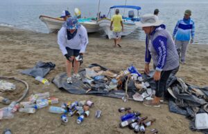 SUCEDE y voluntarios retiran media tonelada de basura de la isla Altamura en la Bahía Santa María