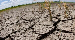 Deforestación y desubicación de temporales de lluvia aceleran los procesos de desertificación
