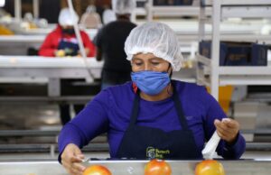 Sinaloa lidera el crecimiento económico nacional en el primer trimestre de 2024