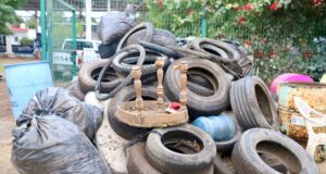 Trabaja Sinaloa en la contención contra el dengue