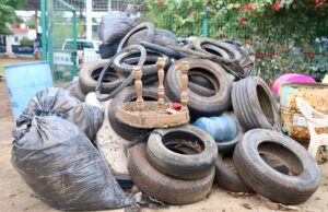 Trabaja Sinaloa en la contención contra el dengue