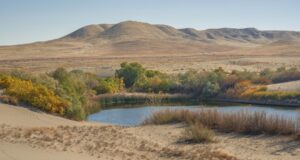 Solo 1% por ciento del agua dulce está accesible para consumo humano, señala especialista de la UAS