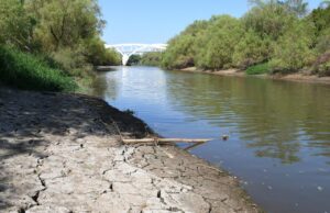 Solo el uno por ciento del agua dulce está accesible para consumo humano