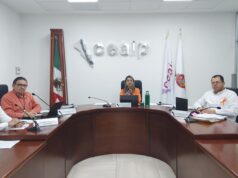 Ratifica CEAIP nombramientos de personas servidoras públicas que estaban a prueba