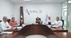 Ratifica CEAIP nombramientos de personas servidoras públicas que estaban a prueba