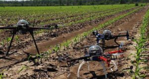 La agricultura de precisión reduce uso de agroquímicos, mejora el rendimiento y el cuidado del medio ambiente