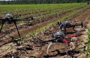 La agricultura de precisión reduce uso de agroquímicos, mejora el rendimiento y el cuidado del medio ambiente