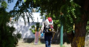 Secretaría de Salud dispersará 5 mdp para reforzar acciones contra el dengue en Sinaloa