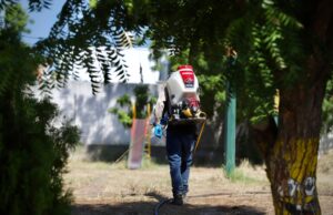 Secretaría de Salud dispersará 5 mdp para reforzar acciones contra el dengue en Sinaloa
