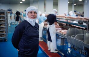 Sinaloa, sexto estado con mayor ingreso promedio de México