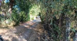 Asesinan a Jorge Peraza conocido restaurantero en Culiacán