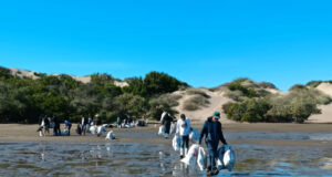 Jóvenes se ponen en acción por la bahía Santa María y retiran media tonelada de basura de la Isla Altamura