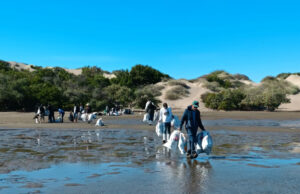 Jóvenes se ponen en acción por la bahía Santa María y retiran media tonelada de basura de la Isla Altamura