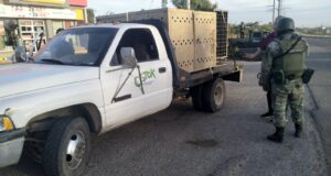 Santuario Ostok rescata a dos tigres blancos en medio de operativo militar en Culiacán