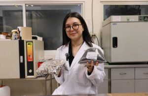 Desarrolla estudiante de la UAS una botana saludable a partir de maíz azul y garbanzo desi