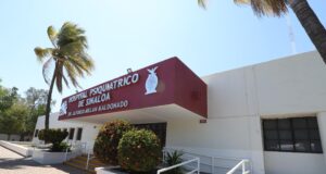 En diciembre se elevan los índices de depresión; llaman a una atención oportuna