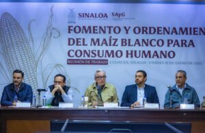 Rocha Moya reúne a los actores de la cadena productiva del maíz en busca de acuerdos para el precio del grano