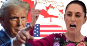 Mucho ruido y muchas nueces