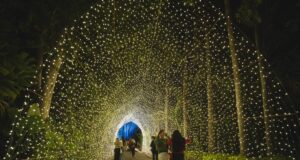 Últimos días para disfrutar de Navidad en el Botánico