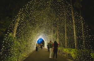 Últimos días para disfrutar de Navidad en el Botánico