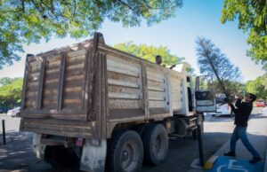 Instalarán Centros de Acopio para árboles de navidad