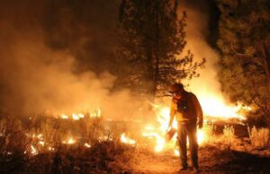 Los incendios forestales combinan los efectos de la sequía que se vive actualmente y los errores humanos