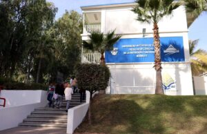 Ofertará la UAS diplomados en Gerontología, Básicos de la Carnicería y Gastronomía