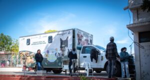 Inicia Campaña Gratuita de Esterilización de Mascotas en la colonia El Vallado