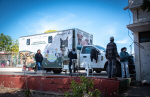Inicia Campaña Gratuita de Esterilización de Mascotas en la colonia El Vallado
