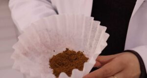 Buscan desarrollar una bebida optimizada de café y orujo de oliva para reducir estrés oxidativo