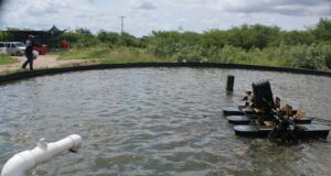 Anuncia CORE plan de sustitución de diésel por electricidad en granjas acuícolas