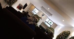 Se aceptan propuestas