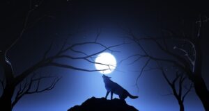 “Ahí viene el lobo”