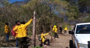 Incendio forestal en Chirimoyos, Concordia se encuentra controlado por autoridades: SEBIDES