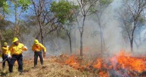 Llaman a extremar precauciones ante posibilidad más incendios forestales Sinaloa