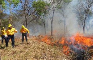 Llaman a extremar precauciones ante posibilidad más incendios forestales Sinaloa