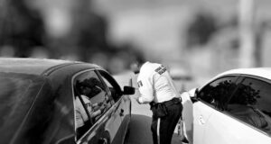 Bravos con unos, mansitos con otros