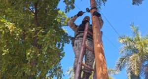 Realizan operativo para el retiro de cámaras de videovigilancia irregulares, esta vez en la Palma