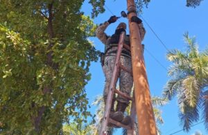 Realizan operativo para el retiro de cámaras de videovigilancia irregulares, esta vez en la Palma