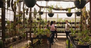 Club de orquídeas, Club de Cuentos y recorridos nocturnos, los imperdibles de abril en Jardín Botánico Culiacán