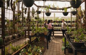Club de orquídeas, Club de Cuentos y recorridos nocturnos, los imperdibles de abril en Jardín Botánico Culiacán