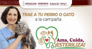 Culiacán tendrá jornada masiva de esterilización de perros y gatos ¡lleva a tu mascota!